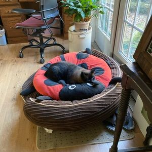 Meet your Posher, Christine